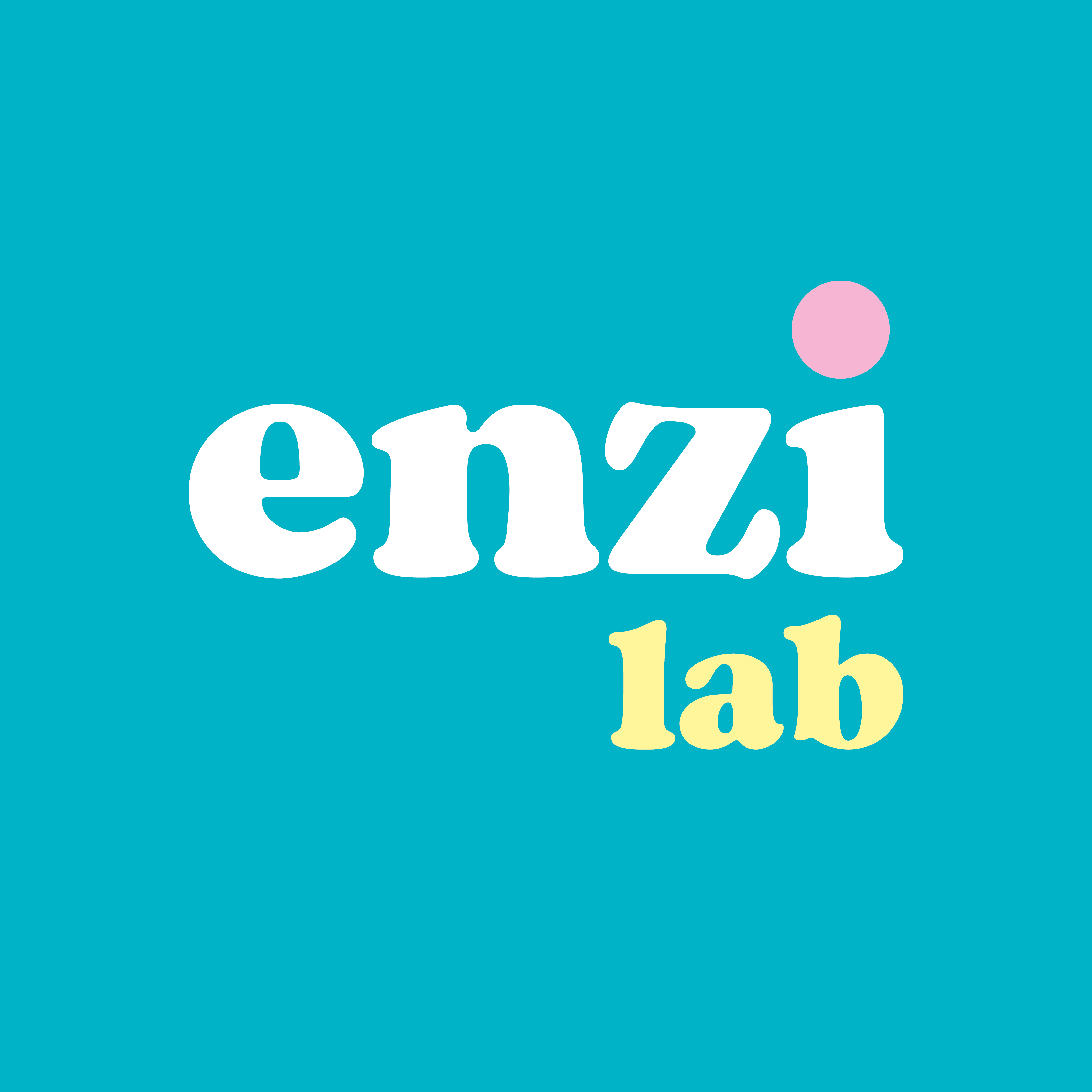 enzilab.ba